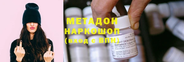 прущие грибы Алексеевка