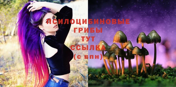 кокс Алзамай