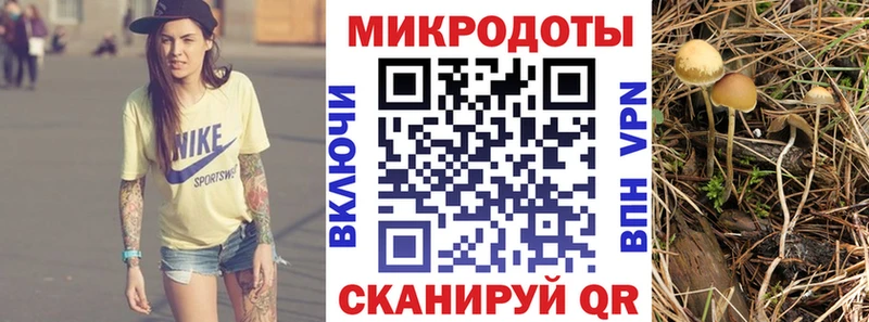 дарнет шоп  Коряжма  Псилоцибиновые грибы MAGIC MUSHROOMS 